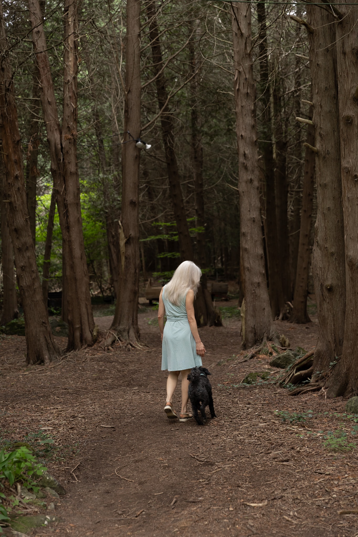 Lori Henein walking a forest path with her dog at Dodeca Waterside Sanctuary