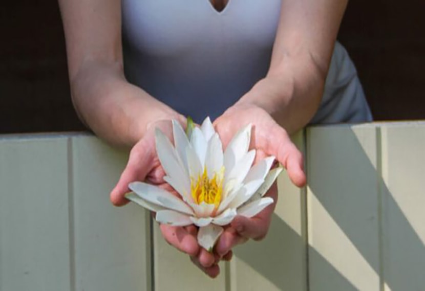 Healing hands and botanical wellness